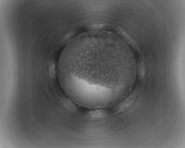 X0000110700378200906191532