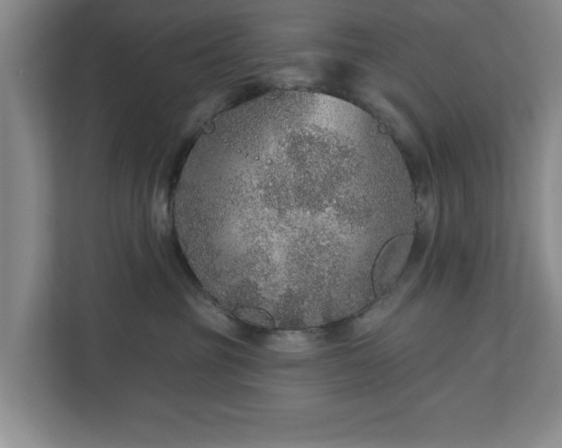 X0000110700381200906191532