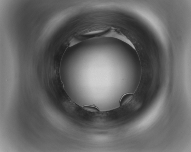 X0000110700382200906191532