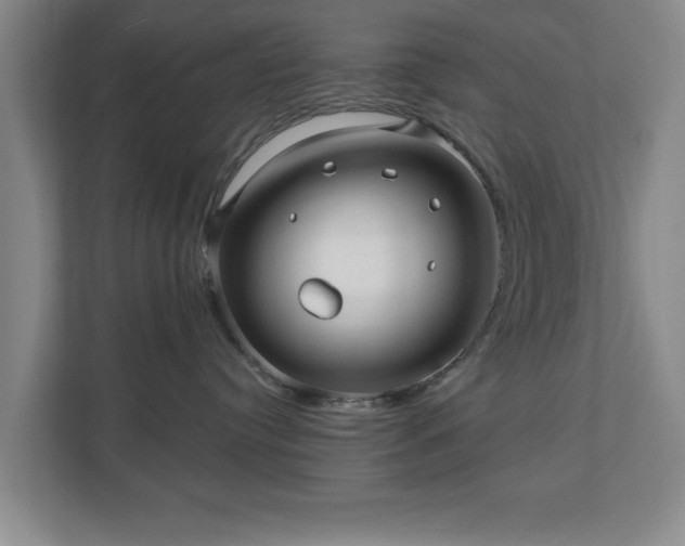 X0000110700384200906191532
