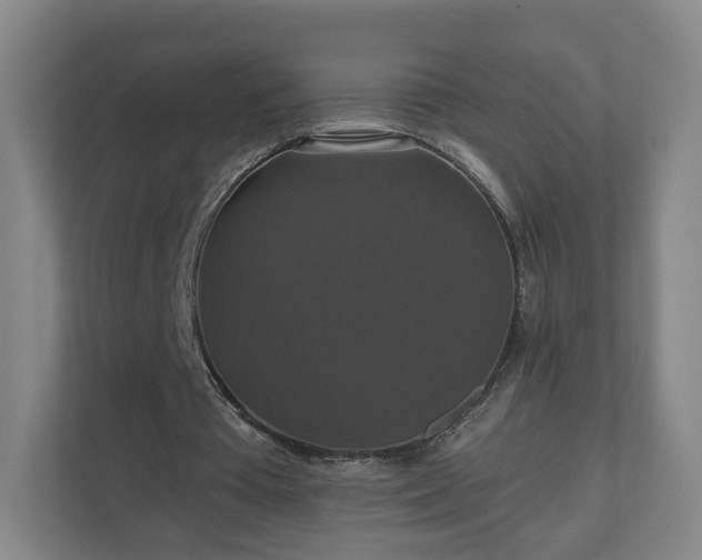 X0000110700385200906191532