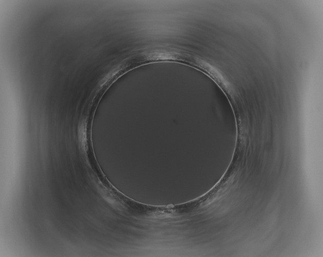 X0000110700386200906191532