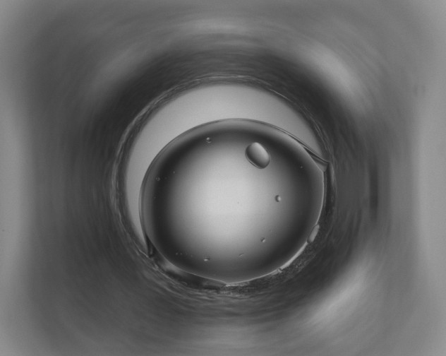 X0000110700387200906191532