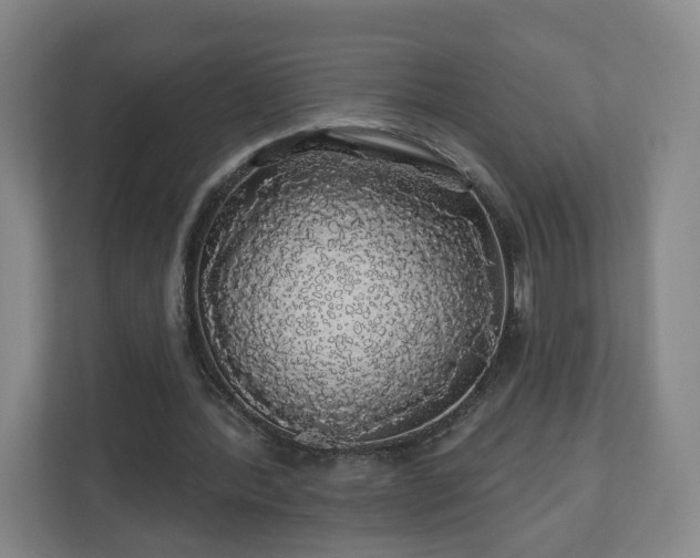 X0000110700388200906191532