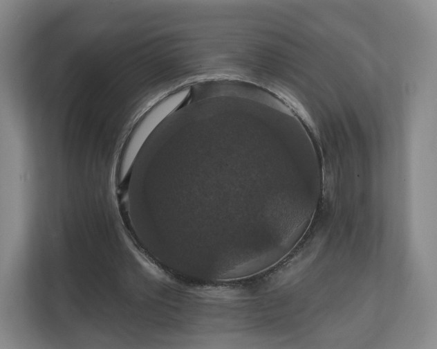 X0000110700389200906191532
