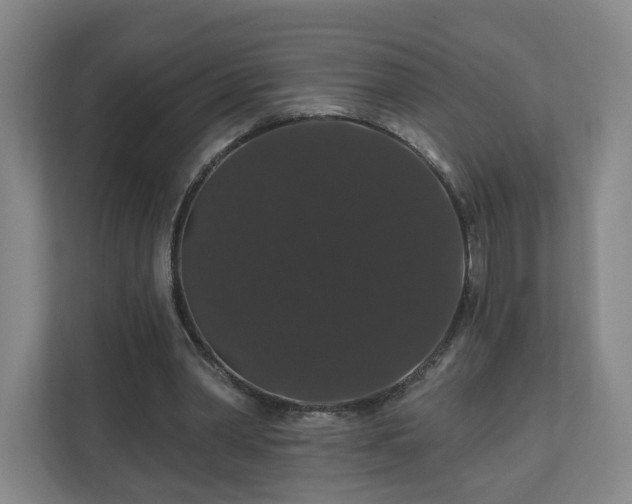 X0000110700390200906191532