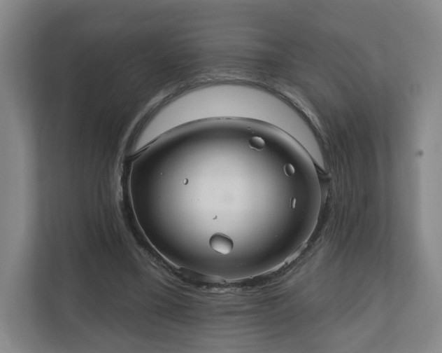 X0000110700395200906191531