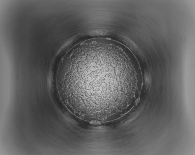 X0000110700396200906191531