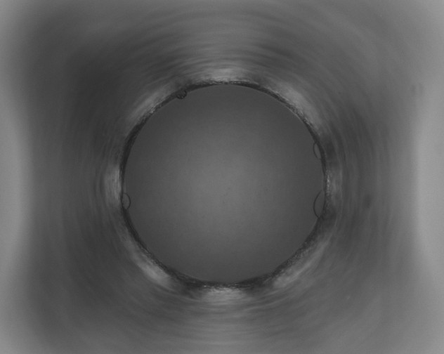X0000110700397200906191531