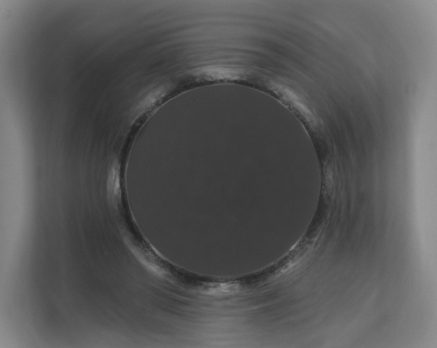 X0000110700398200906191531