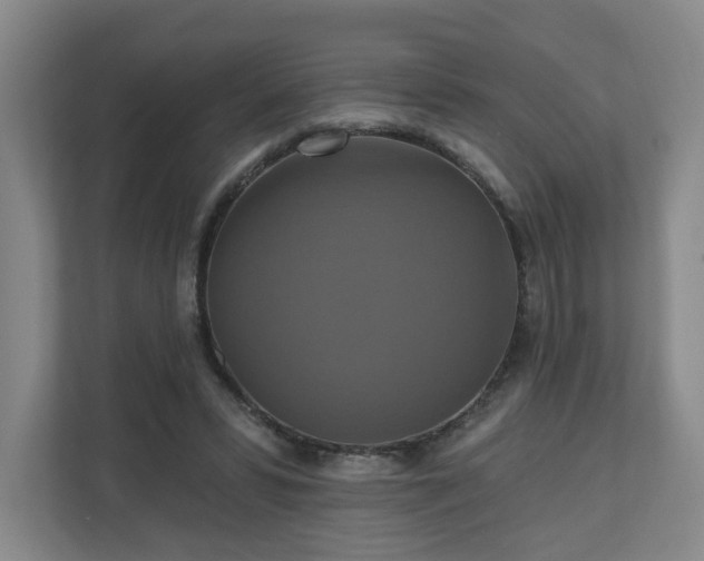X0000110700399200906191531