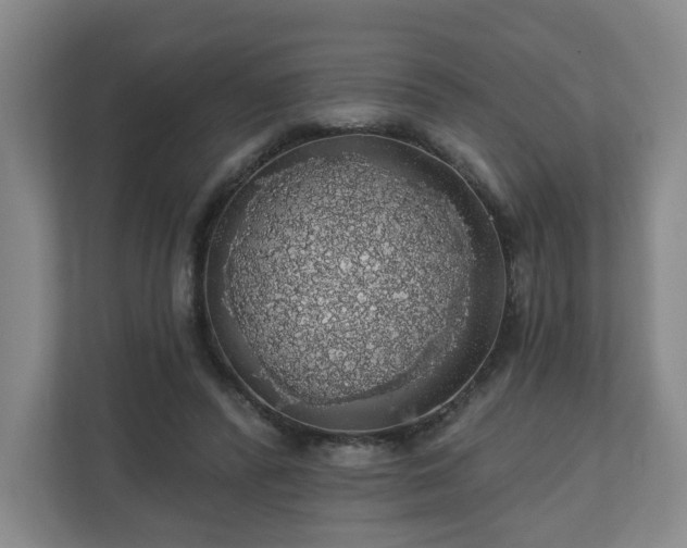 X0000110700400200906191531