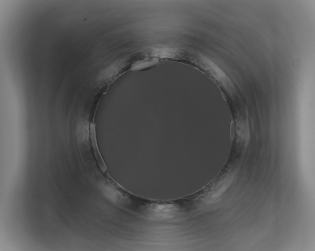 X0000110700401200906191531