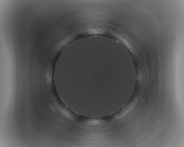 X0000110700402200906191531