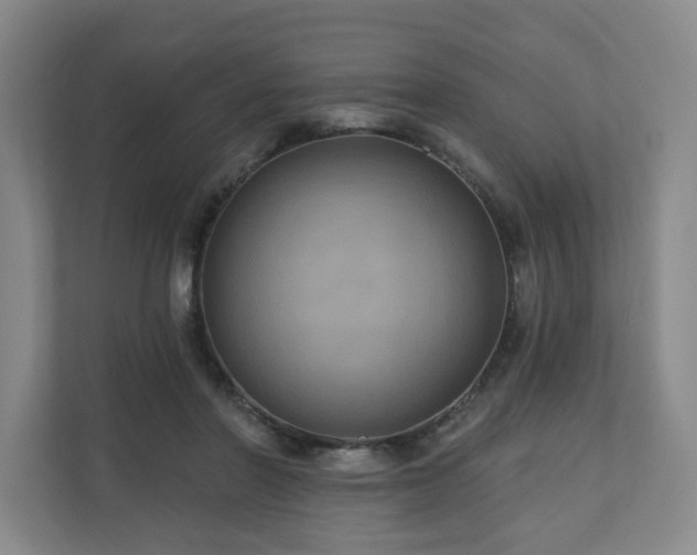 X0000110700406200906191531