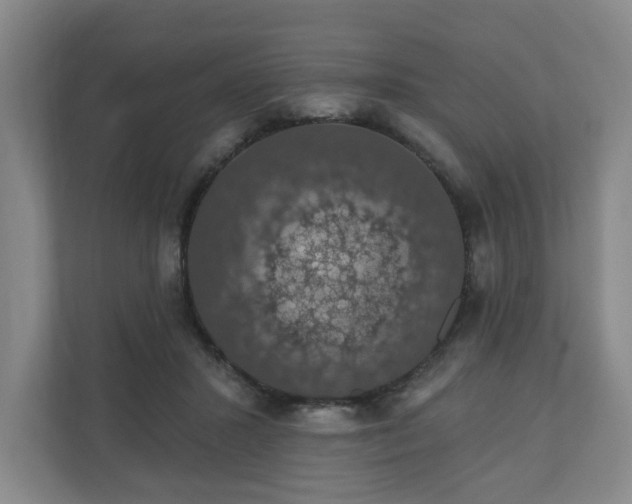 X0000110700407200906191531