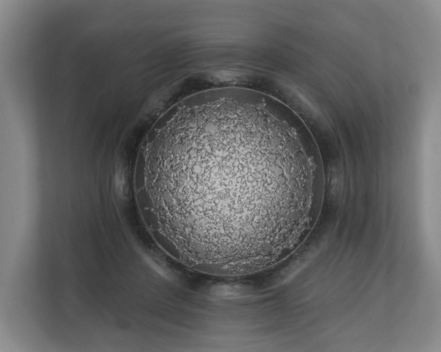 X0000110700408200906191531
