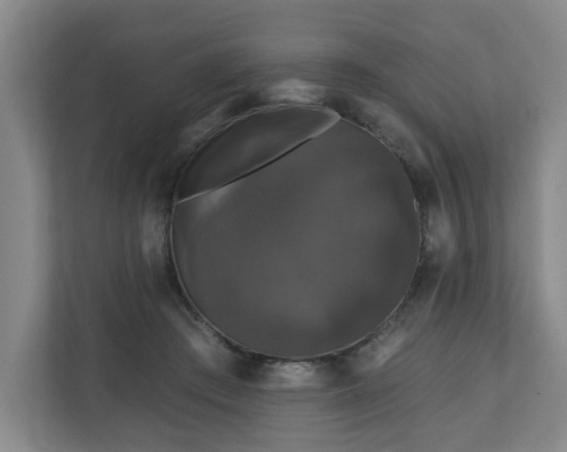 X0000110700409200906191531