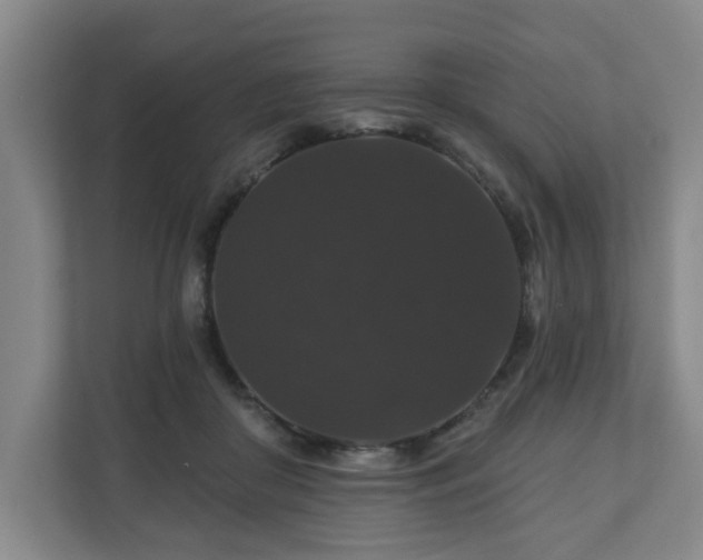 X0000110700410200906191531