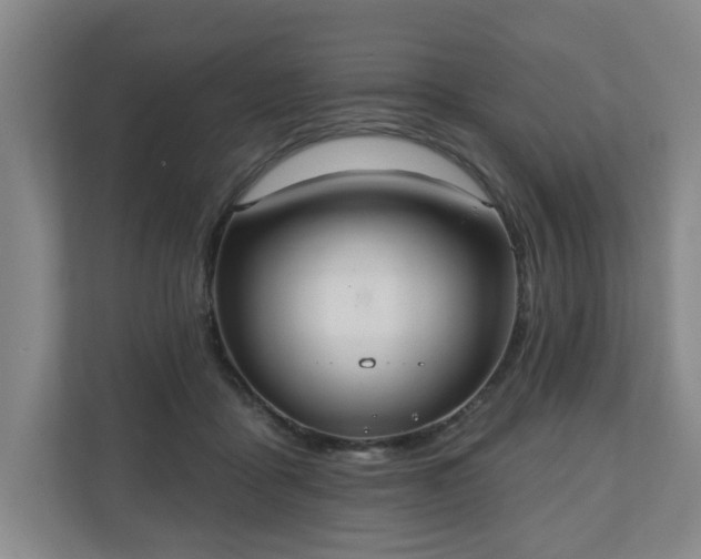 X0000110700411200906191531