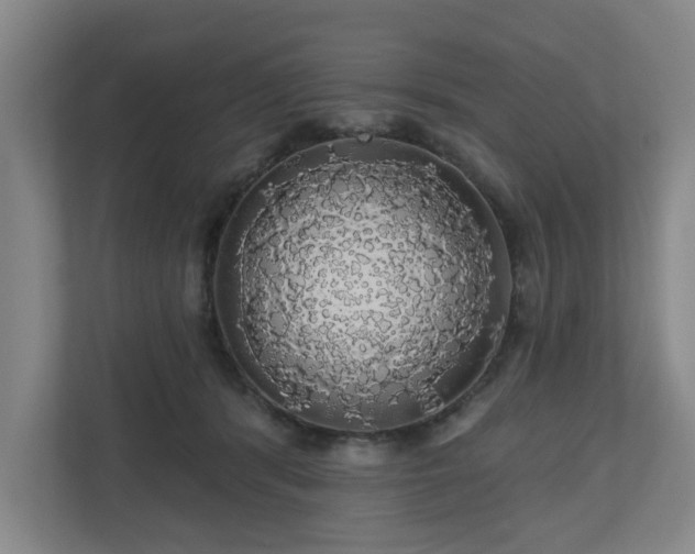 X0000110700416200906191531