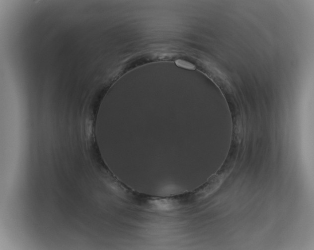 X0000110700417200906191531