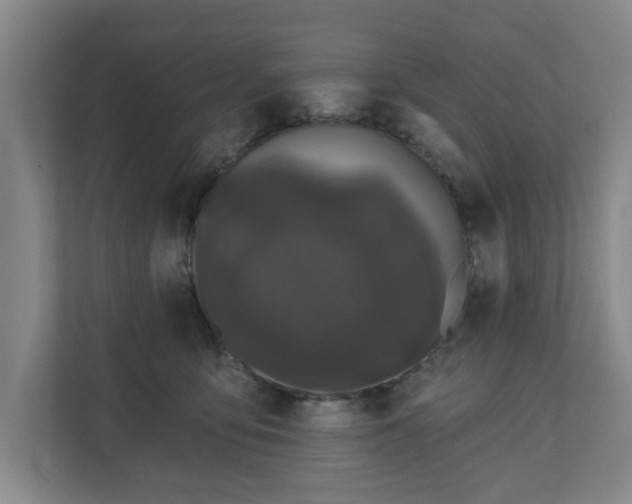 X0000110700419200906191531