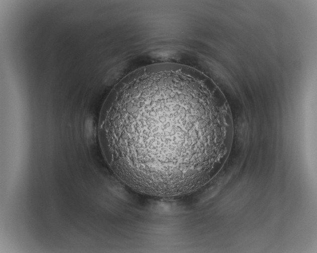 X0000110700420200906191531