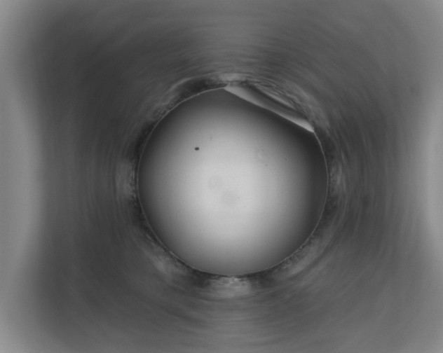 X0000110700421200906191531