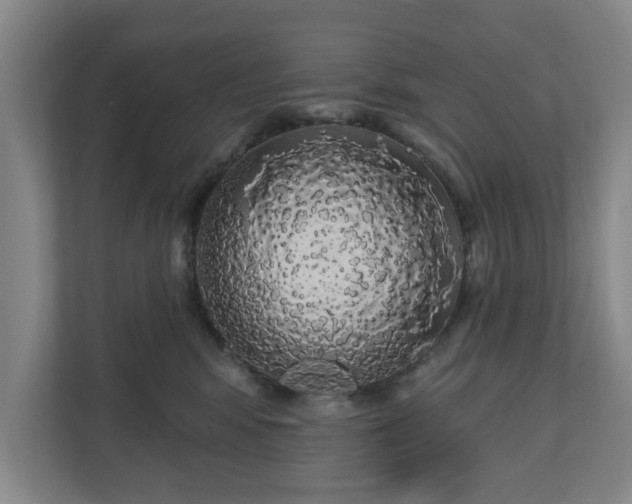 X0000110700424200906191531