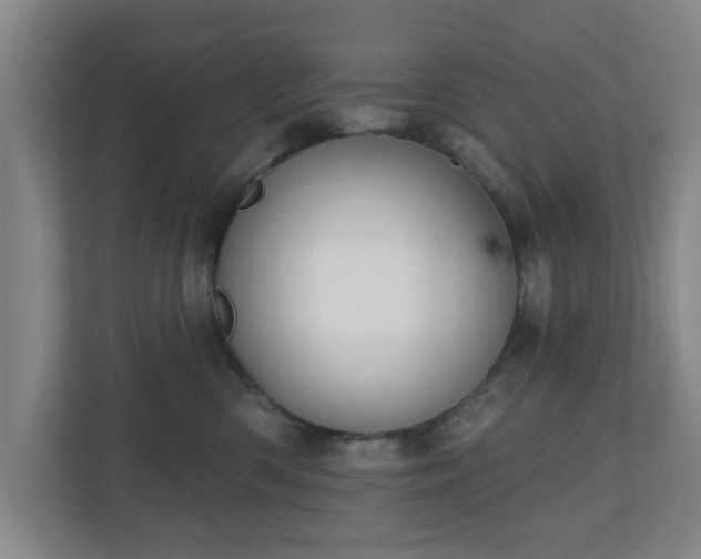 X0000110700426200906191531