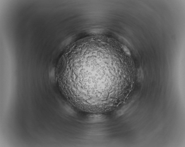 X0000110700428200906191531