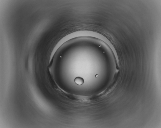 X0000110700429200906191531