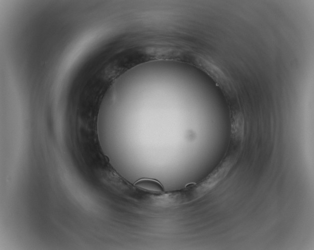 X0000110700430200906191531