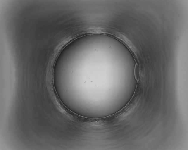 X0000110700433200906191530