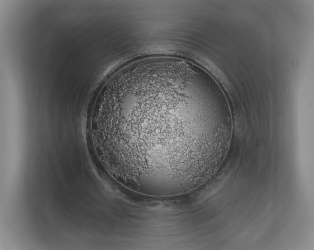 X0000110700434200906191530