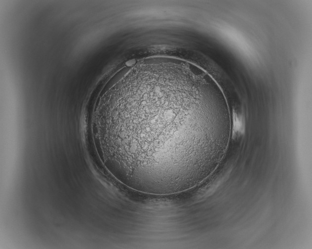 X0000110700435200906191530
