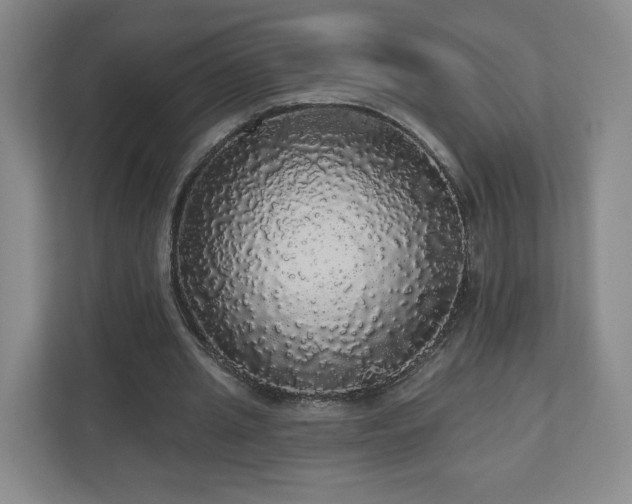 X0000110700437200906191530