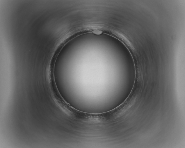 X0000110700439200906191530