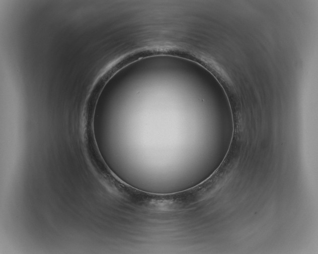 X0000110700440200906191530