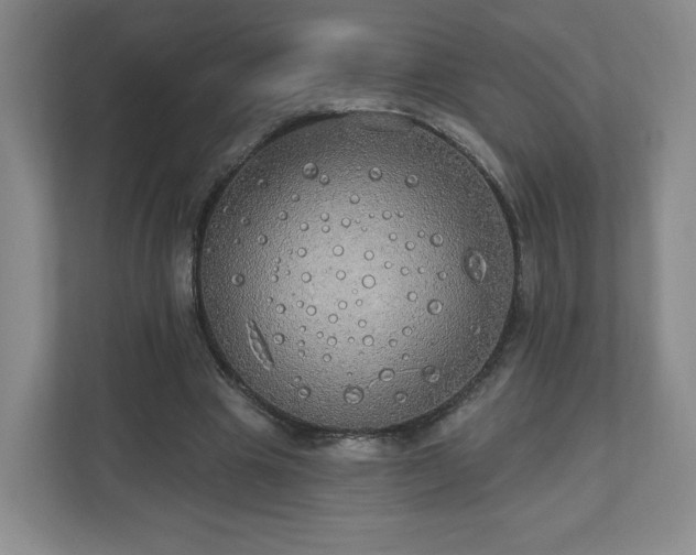X0000110700441200906191530