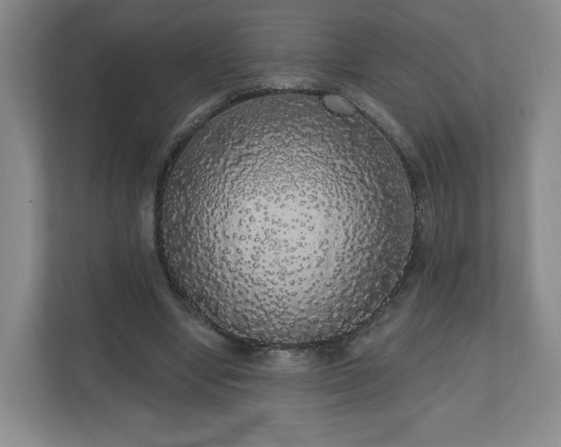 X0000110700442200906191530