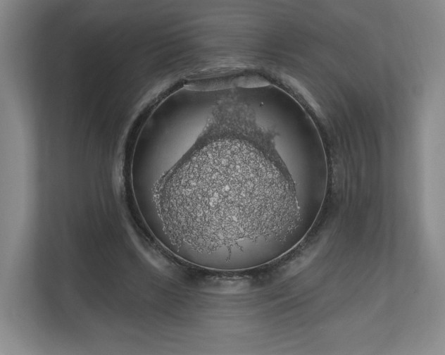 X0000110700443200906191530