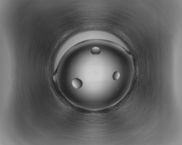 X0000110700444200906191531