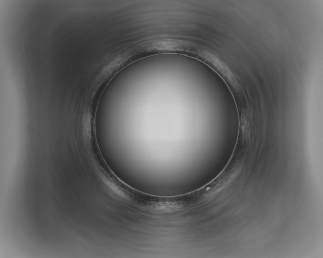 X0000110700445200906191531