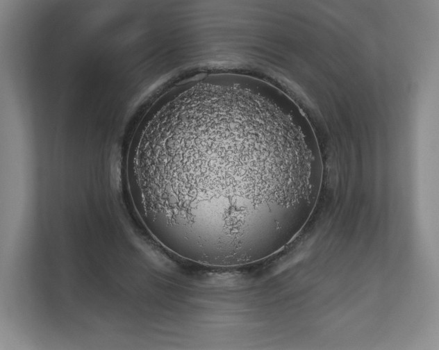 X0000110700446200906191531