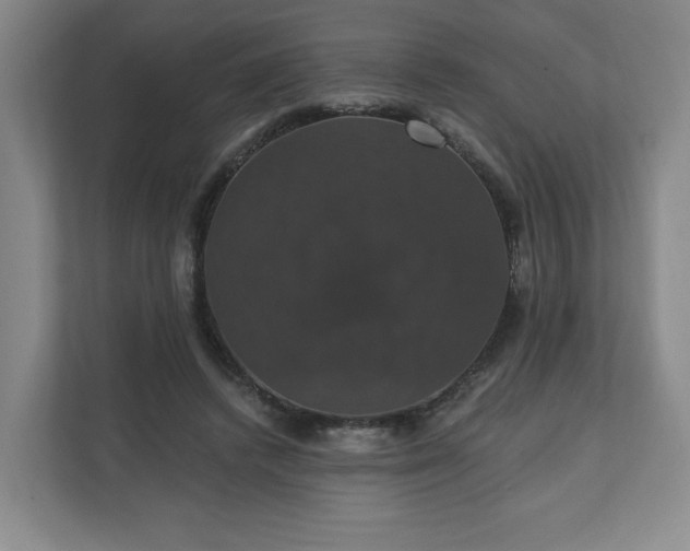 X0000110700448200906191531