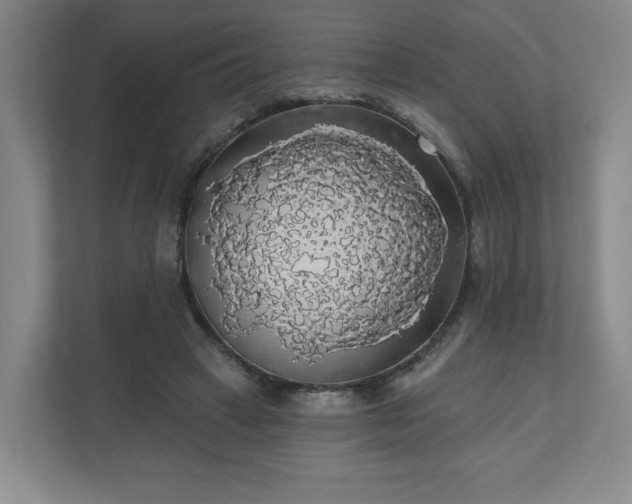 X0000110700449200906191531