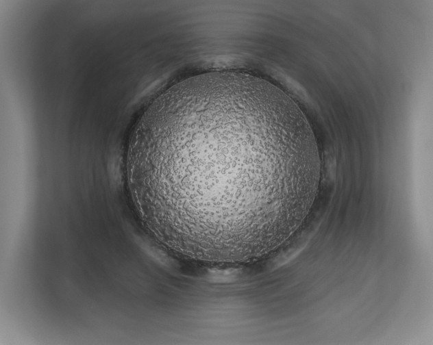 X0000110700450200906191531