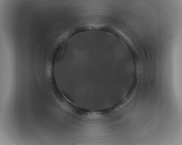 X0000110700451200906191531